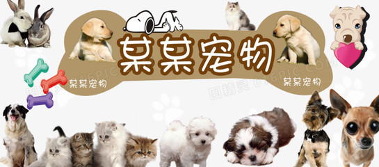 TPAPP官网钱包苹果版